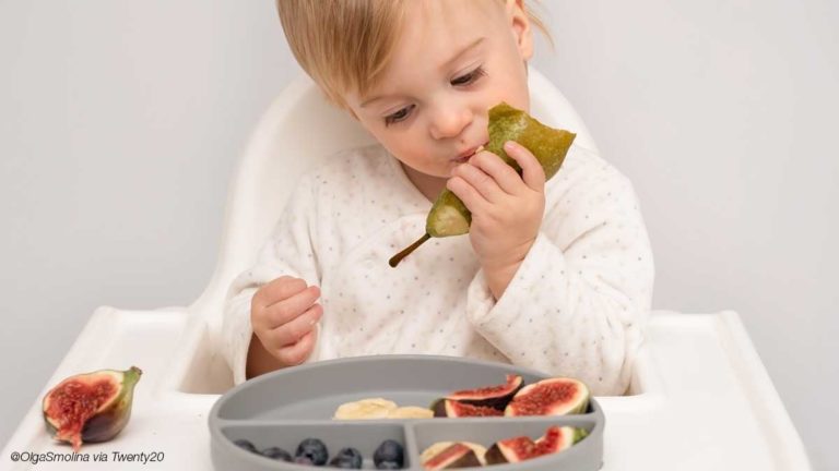 BLW Was ist Baby-led Weaning?